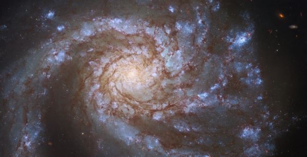 Hubble сфотографировал галактику с «гранд-дизайном»