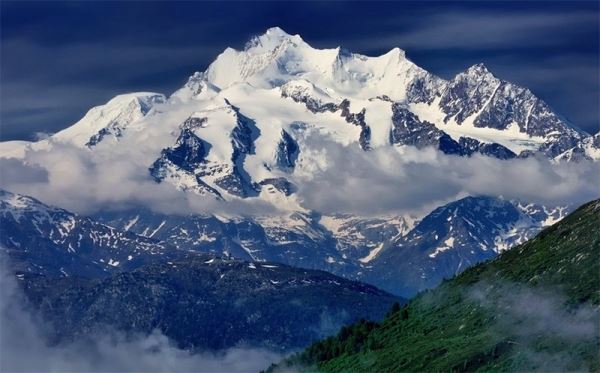 Окаменелые останки рептилий обнаружили в Швейцарских Альпах на высоте 2800 метров